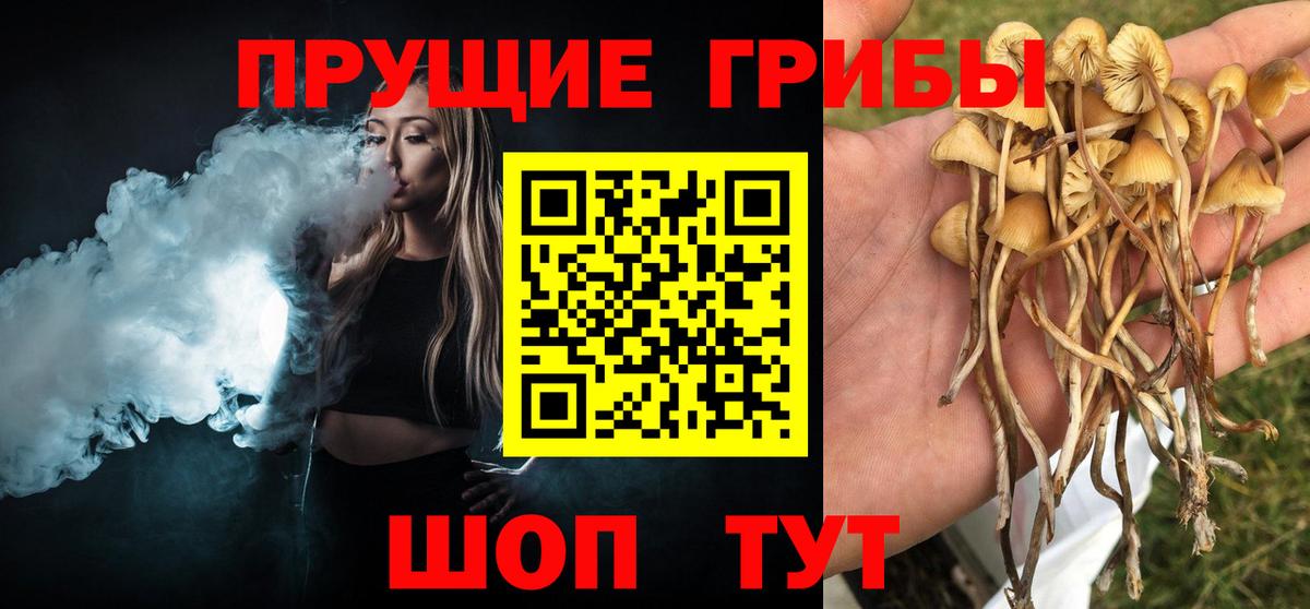 Артёмовский  Галлюциногенные грибы мицелий  Вход с VPN 