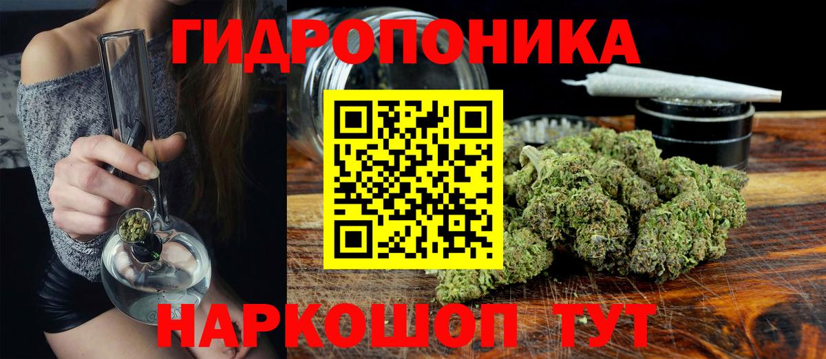 Конопля гибрид Артёмовский